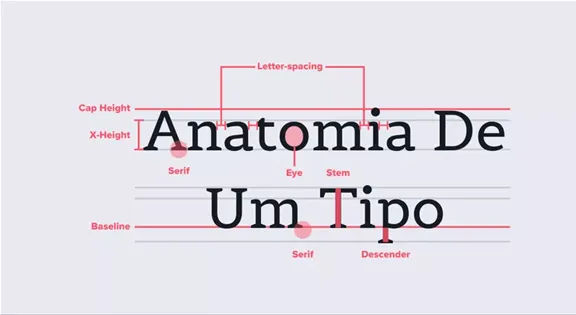 Image showing the text Anatomoia De Um Tipo with various labels saying what the parts of the lettering are in typographical terms.